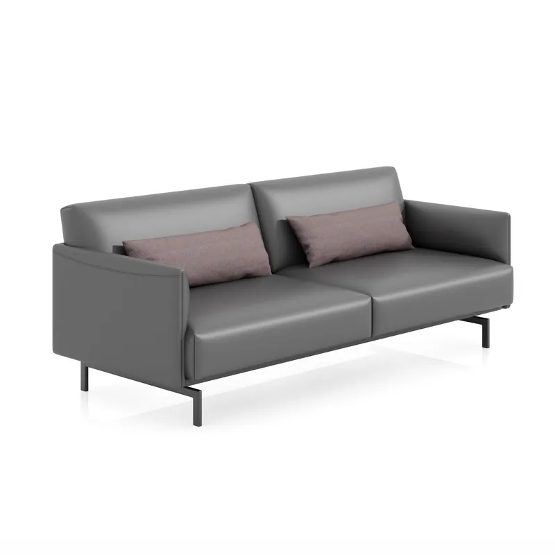 Кожаный диван серии TSFP-025