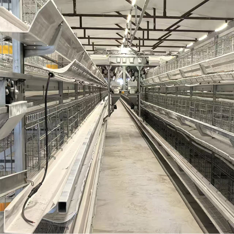 Клетка для кур / курятник