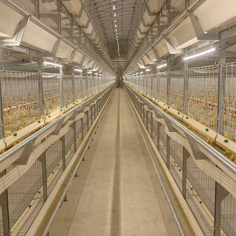 Клетка для кур курятник (2)