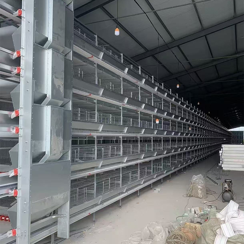 Клетка для кур / курятник