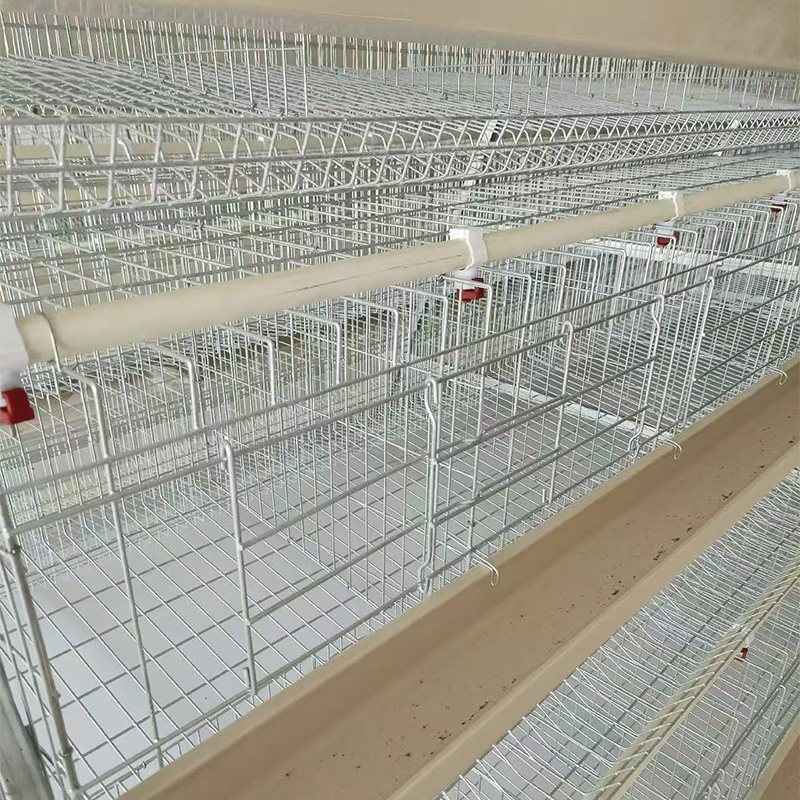 Клетка для кур / курятник