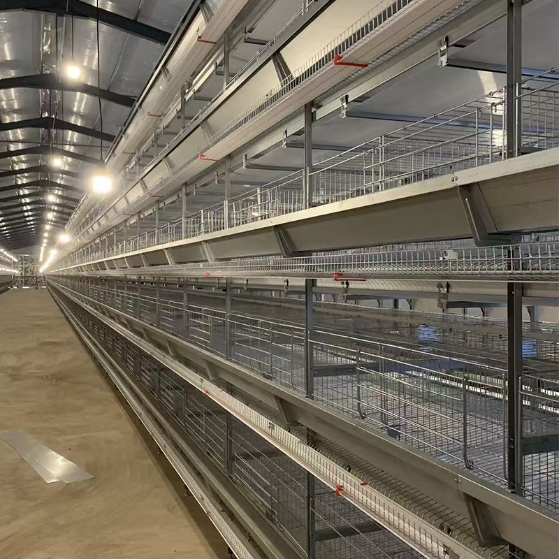 Клетка для кур / курятник