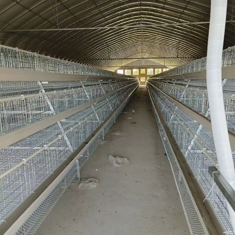 Клетка для кур / курятник