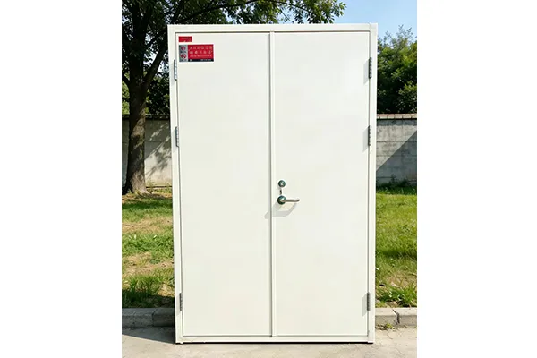 Доставка стране-2