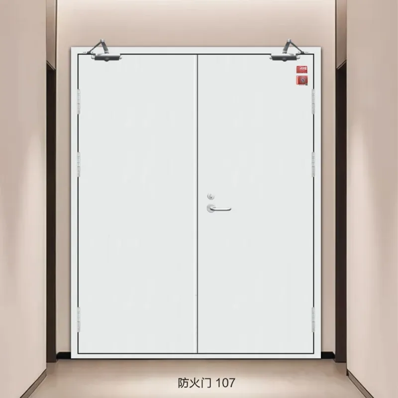 Противопожарная дверь 107