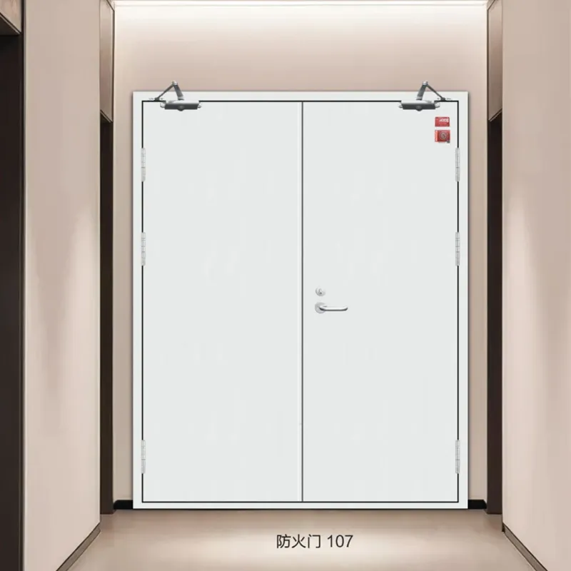 Противопожарная дверь двустворчатая