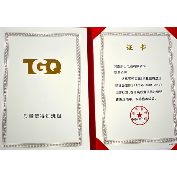 Искренние поздравления команде B по намотке проводов с присвоением ей звания «Команда, заслуживающая доверия в вопросах качества» Китайской ассоциацией качества!