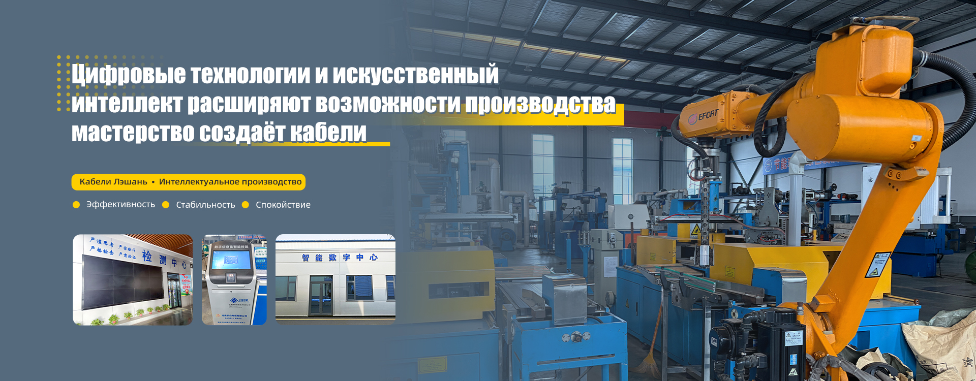 ООО Хэнань Лэшань Кабель banner2