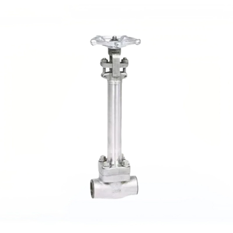 Задвижка 1/2-2″ Z61H-150LBC/P из кованой стали для низких температур