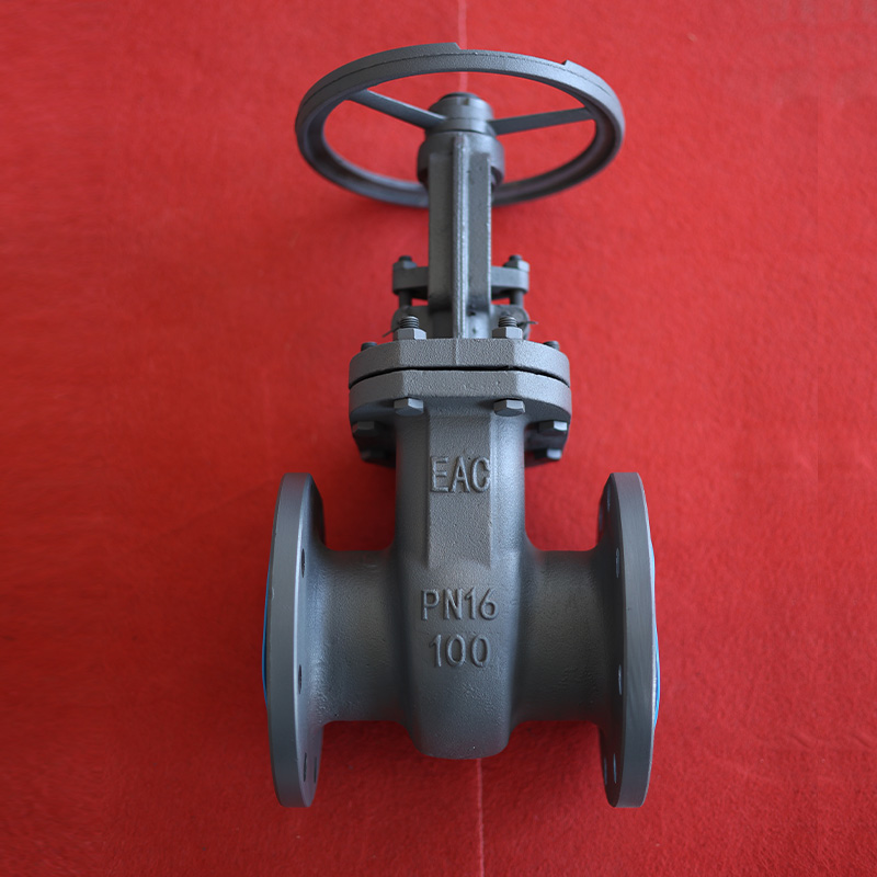 Задвижка DN100