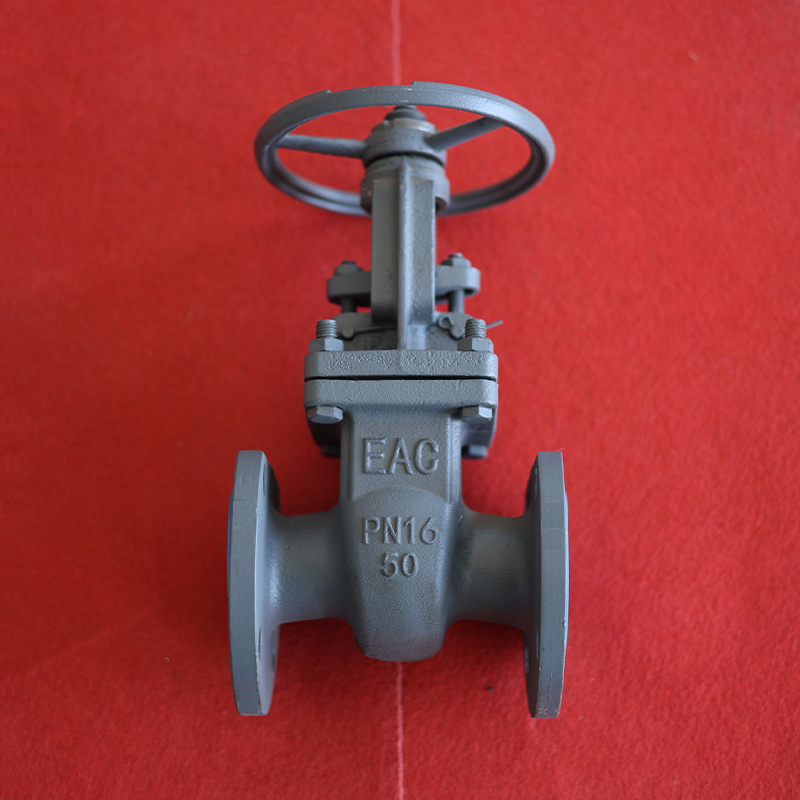 Задвижка DN50