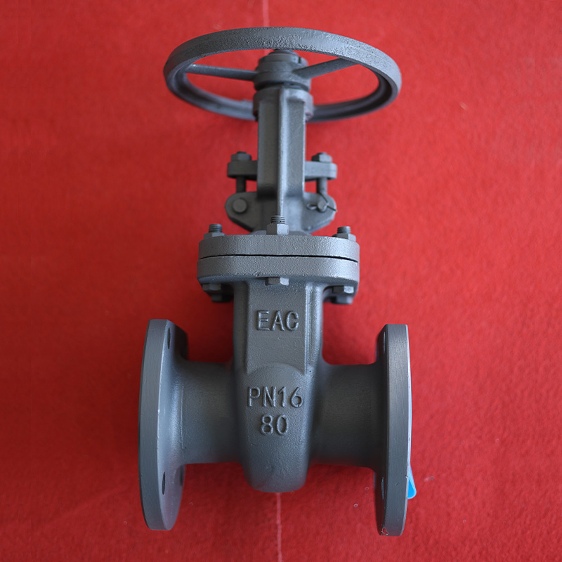 Задвижка DN80