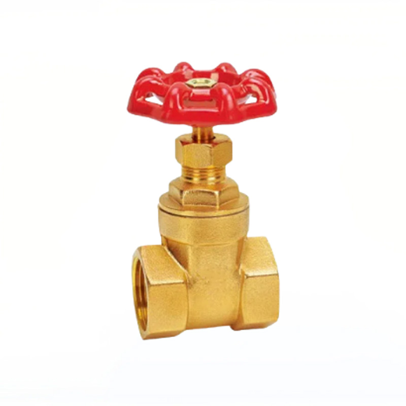 Латунная задвижка Ду8-Ду100(Z15W-16)