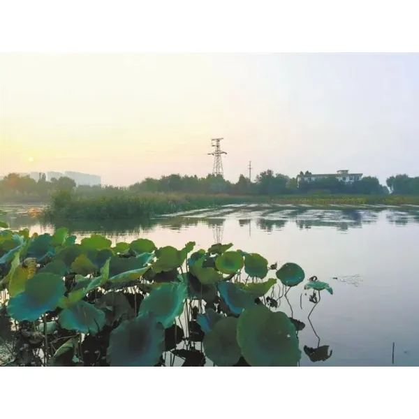 【Перепост】Максимальное использование водных ресурсов для возрождения источника счастья — повторное посещение экологического проекта «Чистые воды, впадающие в Желтую реку» в районе Яо