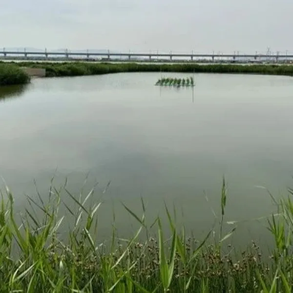 Компания Hai Zhi Huang Technology была удостоена премии «Enterprise Group Excellence Prize» на 10-м конкурсе инноваций и предпринимательства для малых и средних предприятий «Maker China» в Тяньцзине.