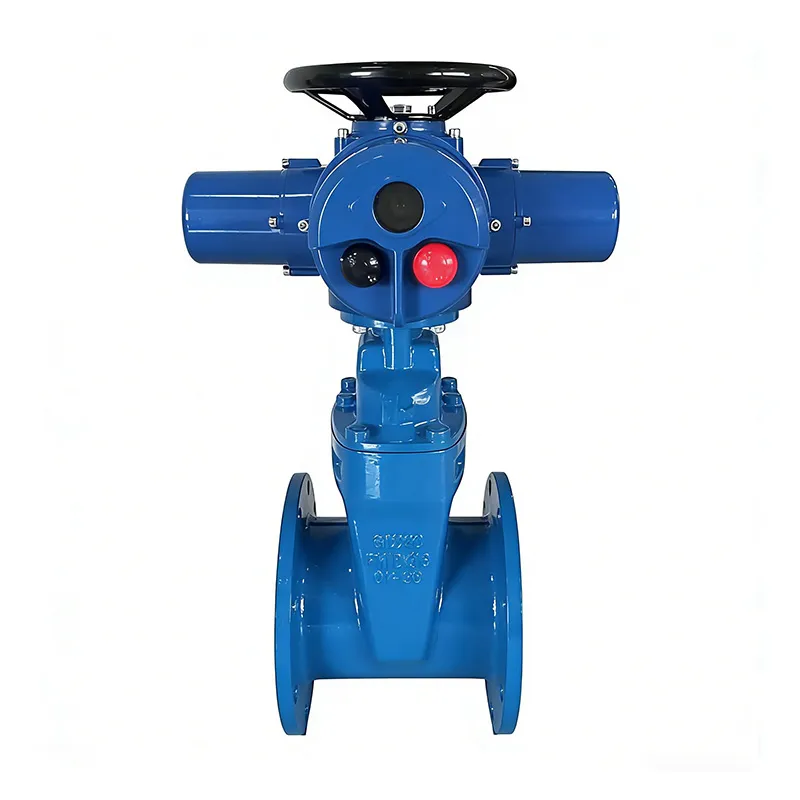 Затвор с электроприводом и мягким уплотнением