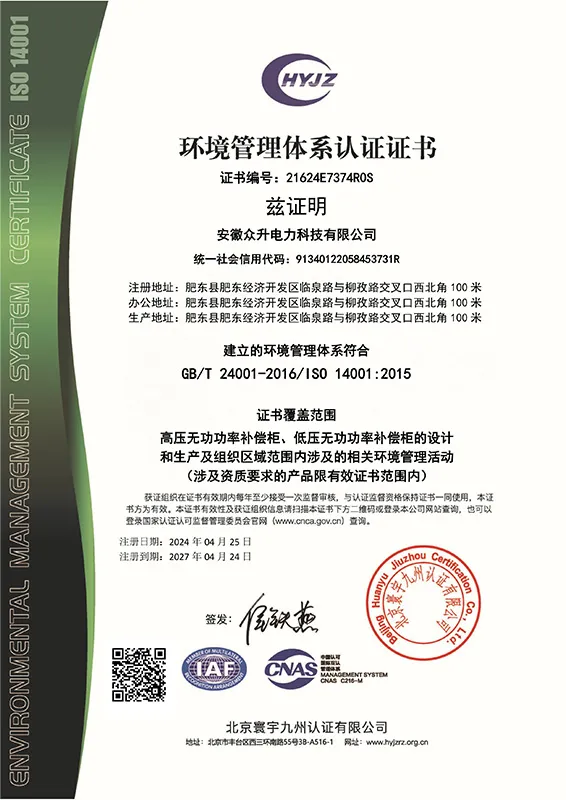 zs1 (6)