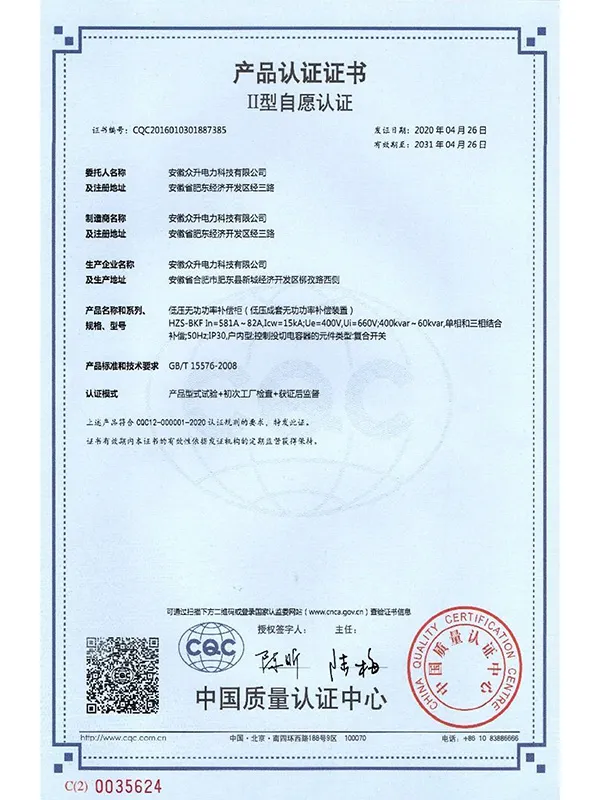 zs6 (3)
