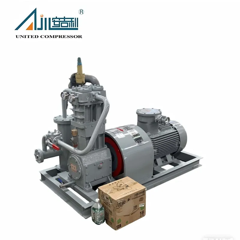 Поршневой компрессор СНГ ZW-0.8/16-24