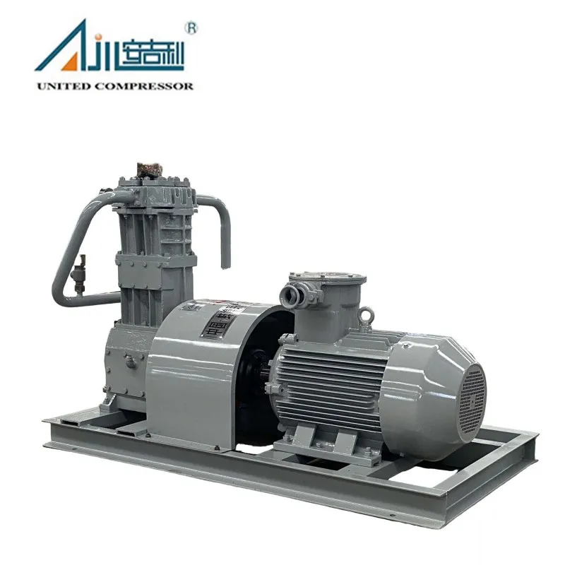 Поршневой компрессор СНГ ZW-0.8/16-24