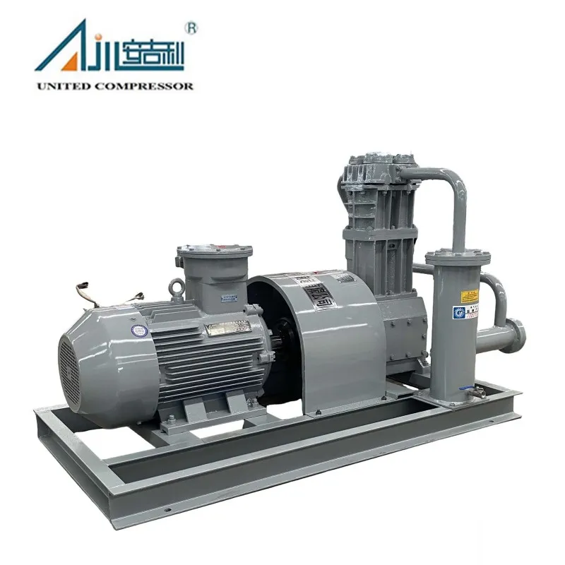 Поршневой компрессор СНГ ZW-0.8/16-24