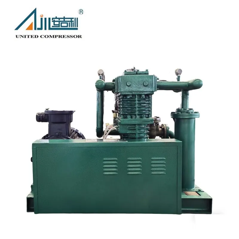 Поршневой компрессор СНГ ZW-2.0/10-16