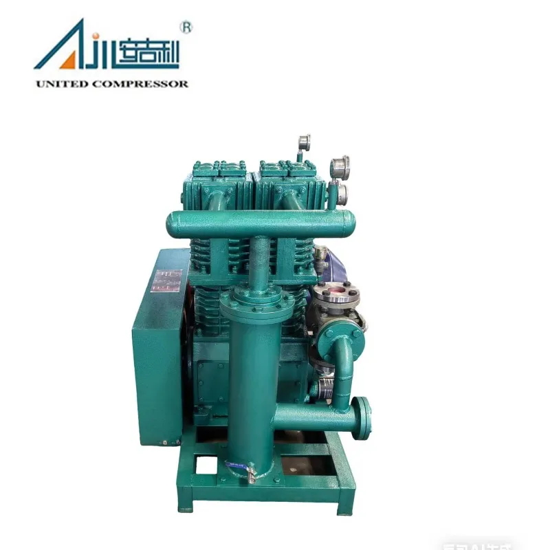 Поршневой компрессор СНГ ZW-2.0/10-16