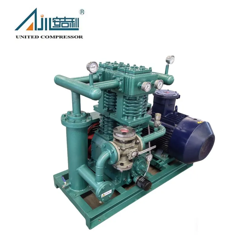 Поршневой компрессор СНГ ZW-2.0/10-16