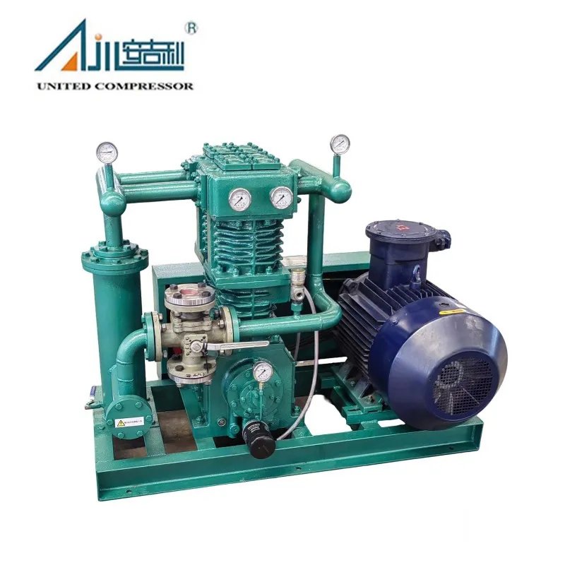 Поршневой компрессор СНГ ZW-2.0/10-16