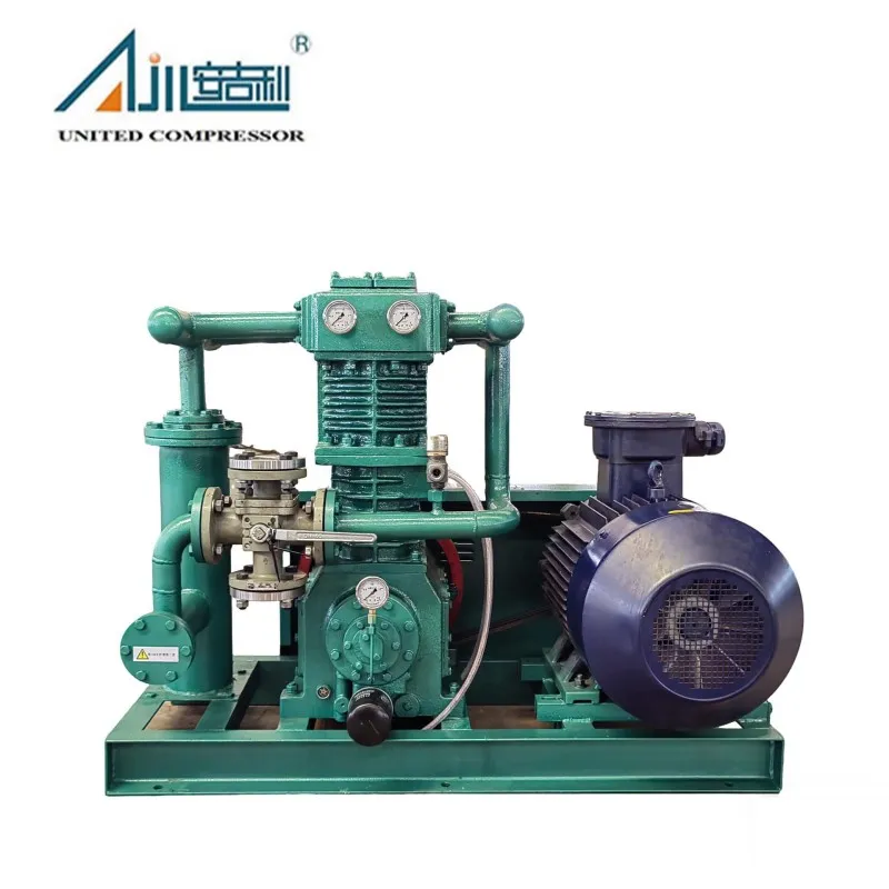 Поршневой компрессор СНГ ZW-2.0/10-16