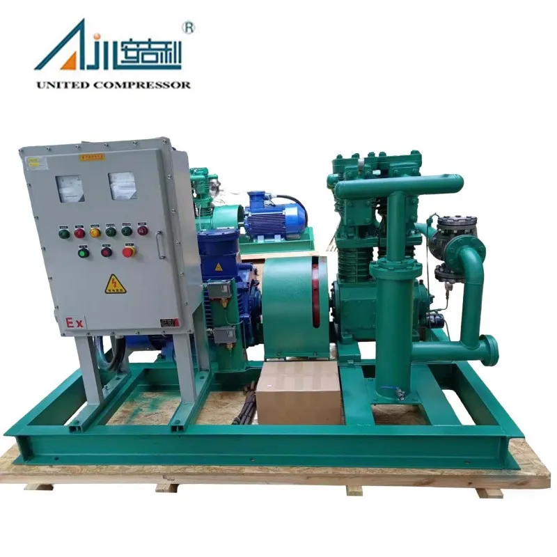 Поршневой компрессор СНГ ZW-3.0/16-24