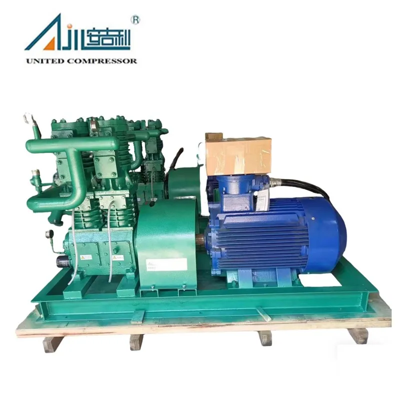 Поршневой компрессор СНГ ZW-3.0/16-24