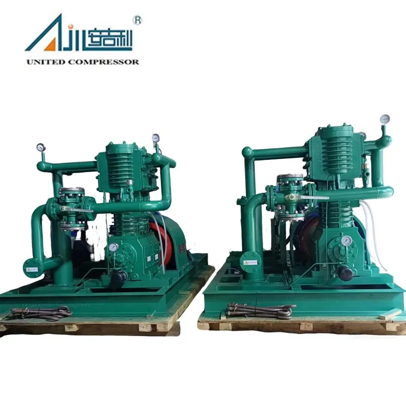 Поршневой компрессор СНГ ZW-3.0/16-24