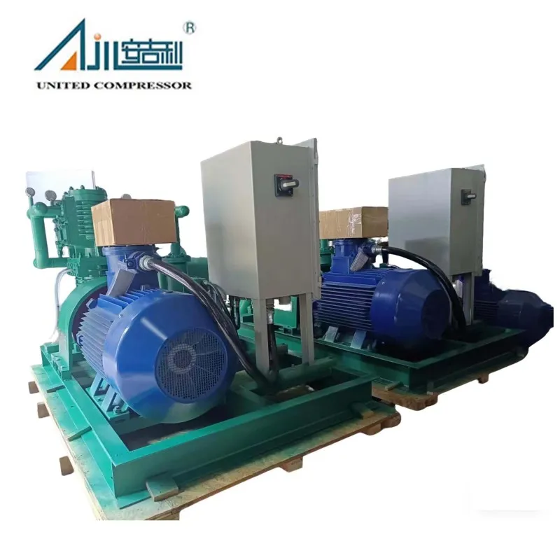 Поршневой компрессор СНГ ZW-3.0/16-24