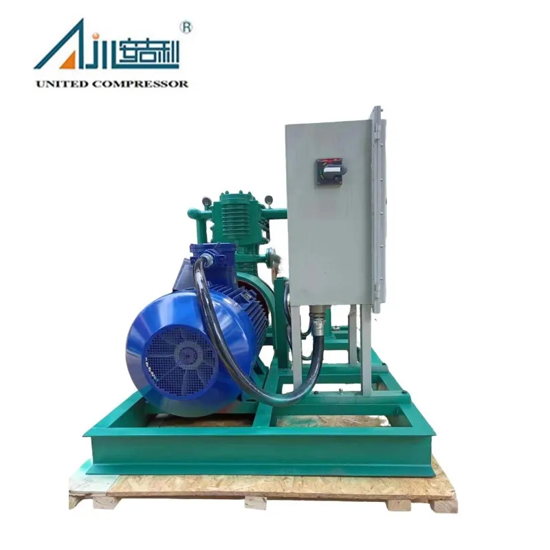 Поршневой компрессор СНГ ZW-3.0/16-24