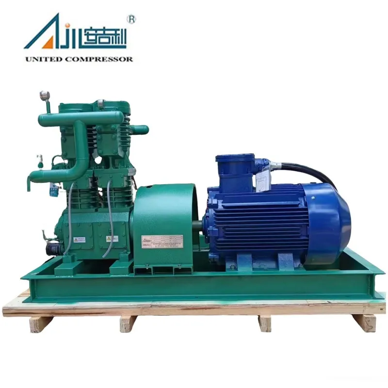 Поршневой компрессор СНГ ZW-3.0/16-24