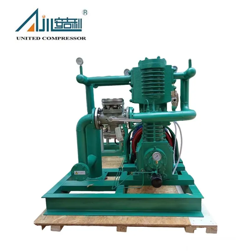 Поршневой компрессор СНГ ZW-3.0/16-24