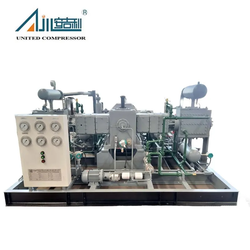 Поршневой компрессор азота DW-2/(10–11)-30