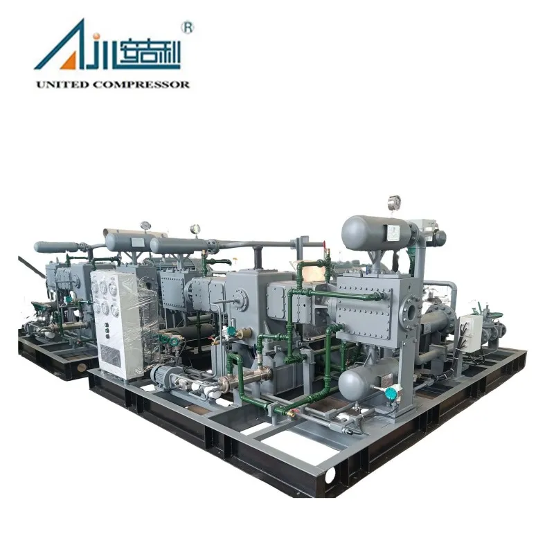 Поршневой компрессор азота DW-2/(10–11)-30