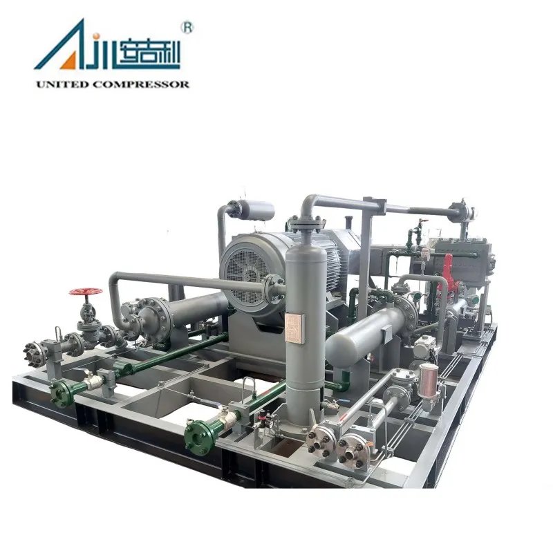 Поршневой компрессор азота DW-2/(10–11)-30