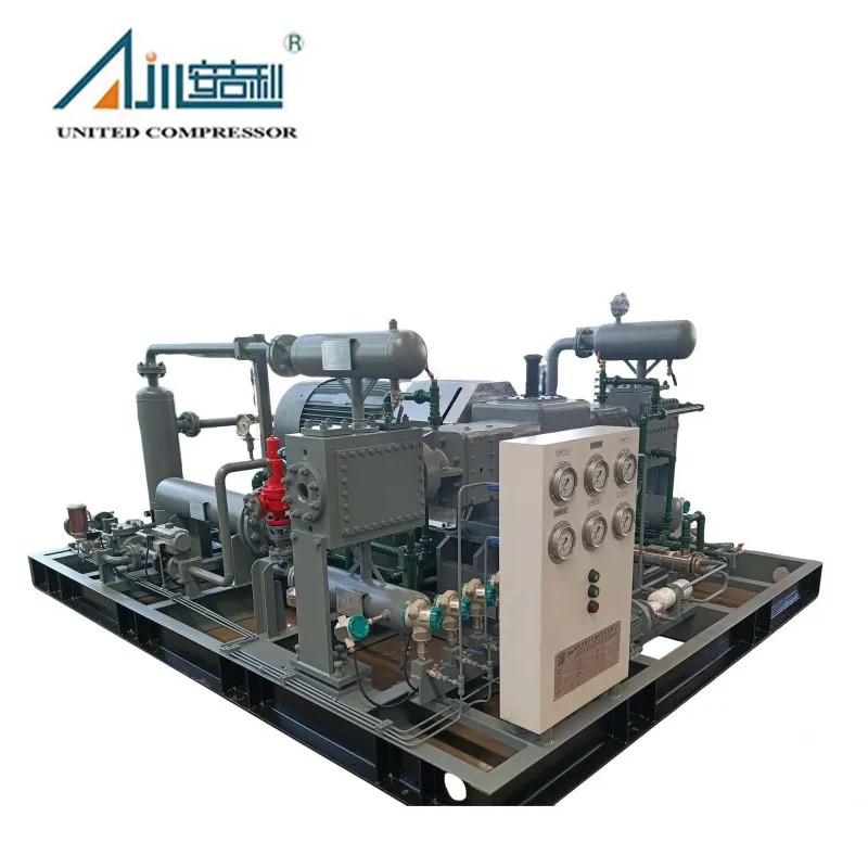 Поршневой компрессор азота DW-2/(10–11)-30