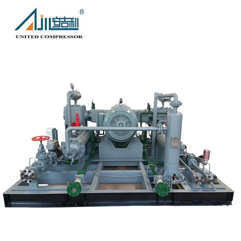 Поршневой компрессор азота DW-2/(10–11)-30