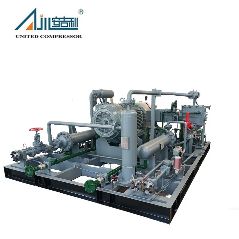 Поршневой компрессор азота DW-2/(10–11)-30