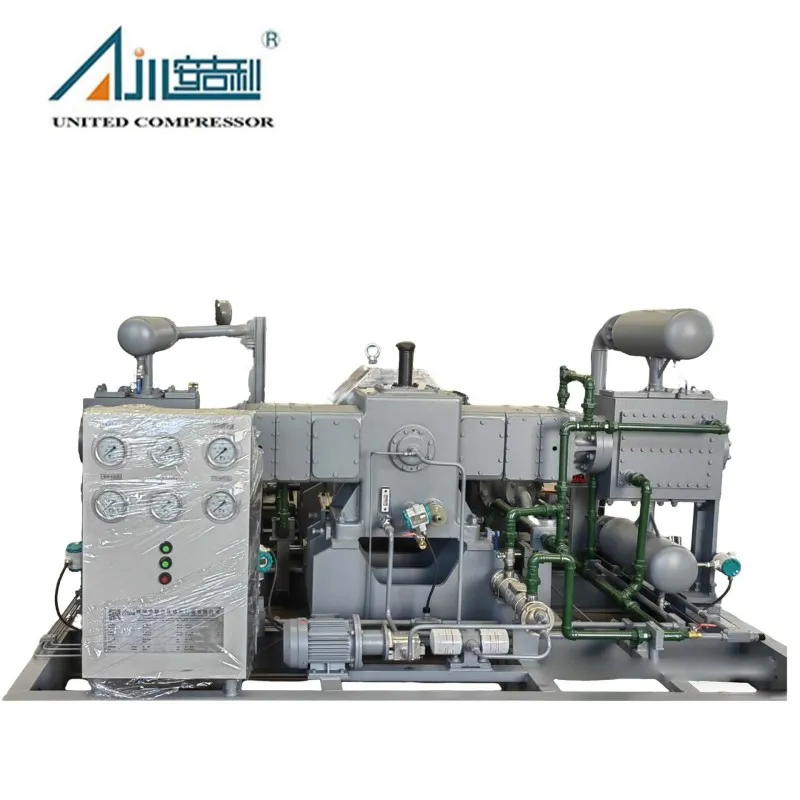 Поршневой компрессор азота DW-2/(10–11)-30