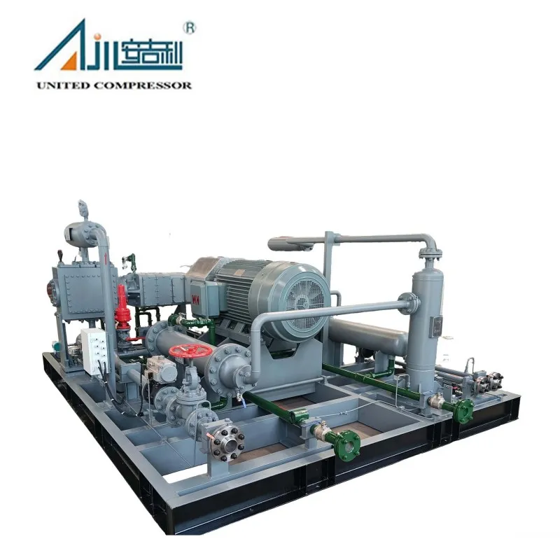 Поршневой компрессор азота DW-2/(10–11)-30
