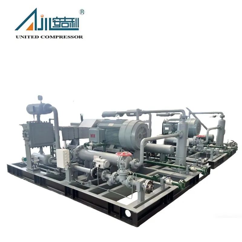 Поршневой компрессор азота DW-2/(10–11)-30