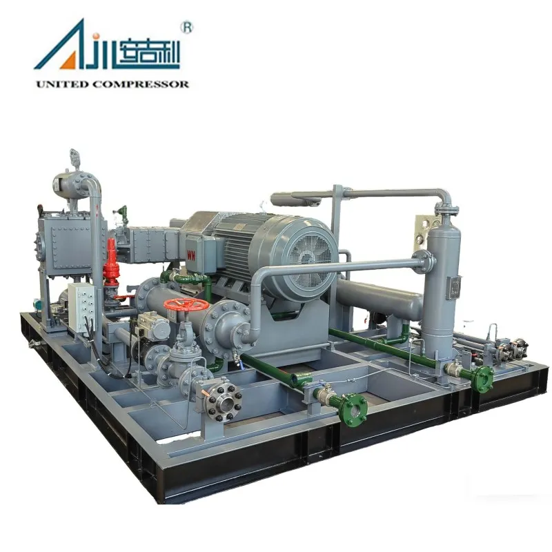 Поршневой компрессор азота DW-2/(10–11)-30