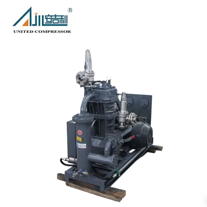 Поршневой компрессор аммиака ZW-1.0/16-24