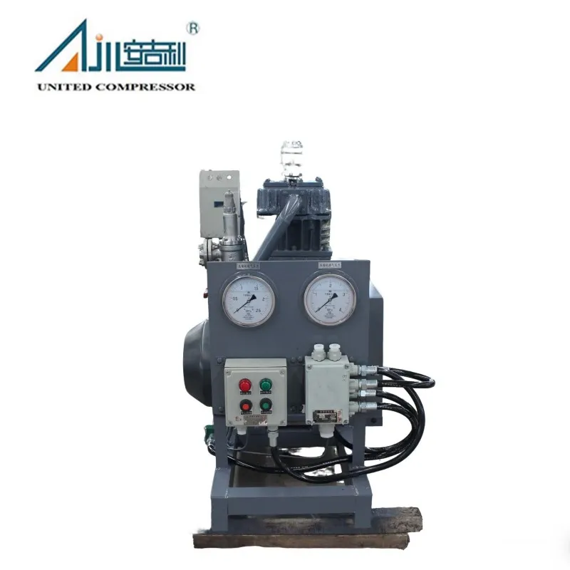 Поршневой компрессор аммиака ZW-1.0/16-24