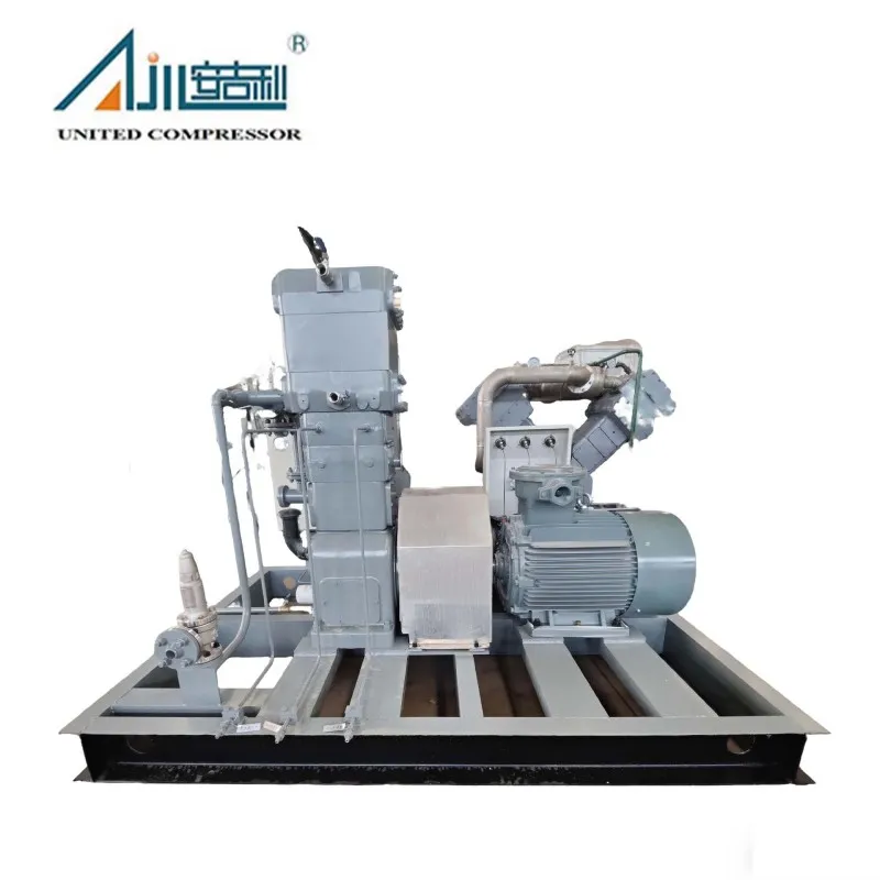 Поршневой компрессор аммиака ZW-1.5/16-24